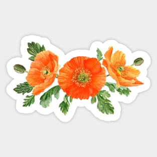 Watercolor poppies Sticker